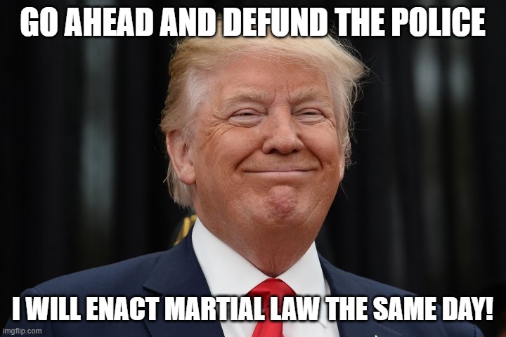 TRUMPED!! | GO AHEAD AND DEFUND THE POLICE; I WILL ENACT MARTIAL LAW THE SAME DAY! | image tagged in trump 2020,martial law,god bless america | made w/ Imgflip meme maker