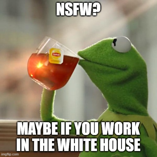 But That's None Of My Business Meme | NSFW? MAYBE IF YOU WORK IN THE WHITE HOUSE | image tagged in memes,but that's none of my business,kermit the frog | made w/ Imgflip meme maker