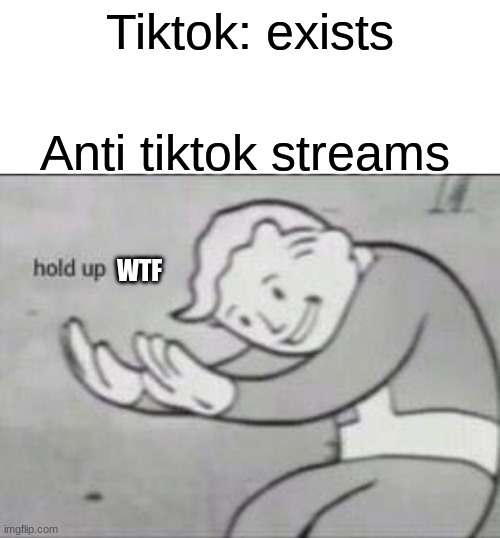 Fallout hold up with space on the top | Tiktok: exists; Anti tiktok streams; WTF | image tagged in fallout hold up with space on the top | made w/ Imgflip meme maker