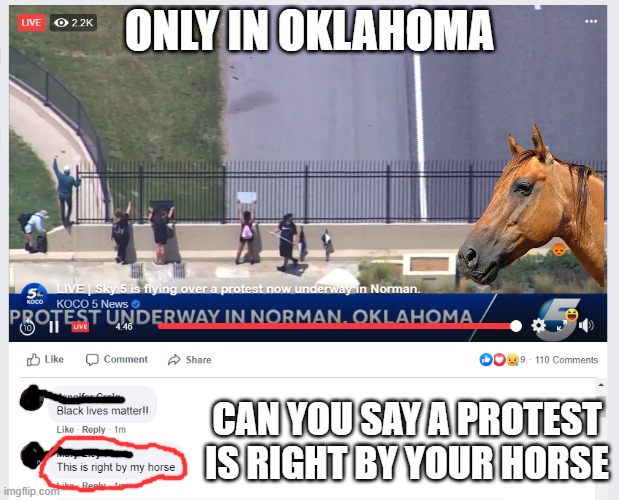 Hey, that's right by my horse! | ONLY IN OKLAHOMA; CAN YOU SAY A PROTEST IS RIGHT BY YOUR HORSE | image tagged in protest,oklahoma,horse,country folk,boomer sooner,lol | made w/ Imgflip meme maker