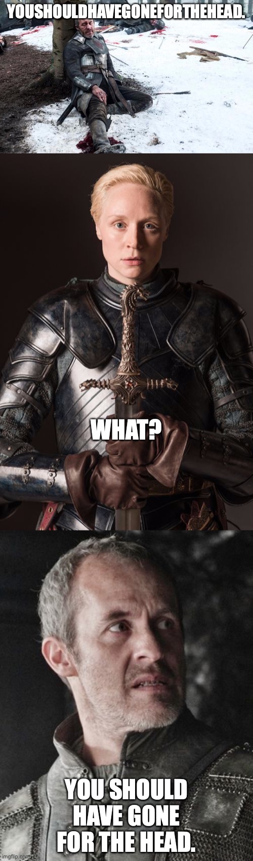 Stannis the Thannis | YOUSHOULDHAVEGONEFORTHEHEAD. WHAT? YOU SHOULD HAVE GONE FOR THE HEAD. | image tagged in stannis,brienne of tarth | made w/ Imgflip meme maker