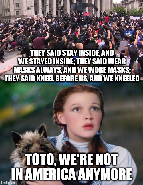 THEY SAID STAY INSIDE, AND WE STAYED INSIDE; THEY SAID WEAR MASKS ALWAYS, AND WE WORE MASKS; THEY SAID KNEEL BEFORE US, AND WE KNEELED; TOTO, WE'RE NOT IN AMERICA ANYMORE | image tagged in toto wizard of oz | made w/ Imgflip meme maker