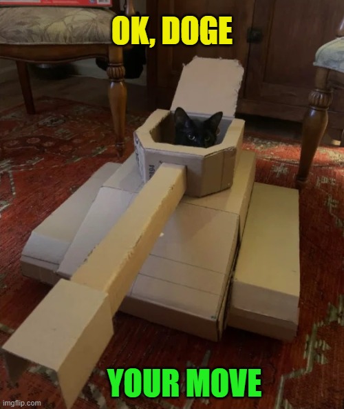 Cats love boxes, what better than a box-tank for a cat | OK, DOGE; YOUR MOVE | image tagged in cats,catdog,dogs,doge,scared cat,funny cats | made w/ Imgflip meme maker