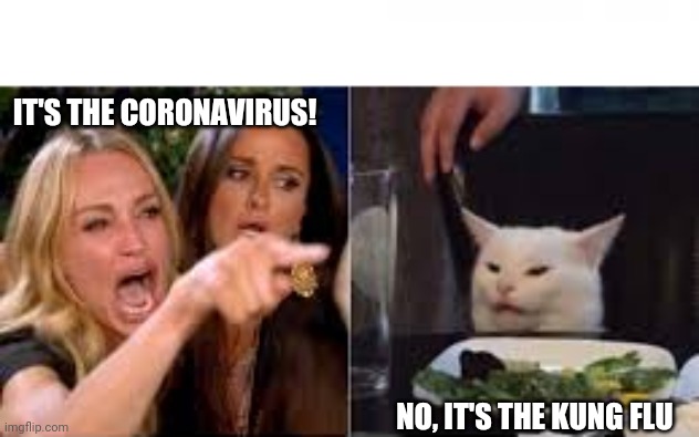 It's the Coronavirus! | IT'S THE CORONAVIRUS! NO, IT'S THE KUNG FLU | image tagged in kung flu | made w/ Imgflip meme maker