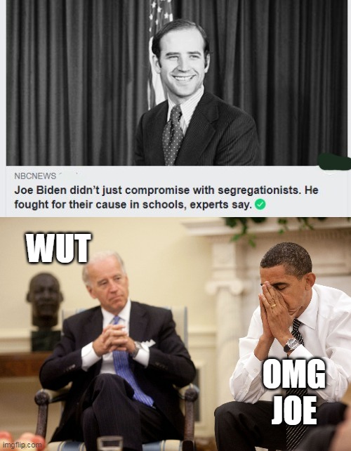oops | WUT; OMG JOE | image tagged in obama biden hands,politics | made w/ Imgflip meme maker