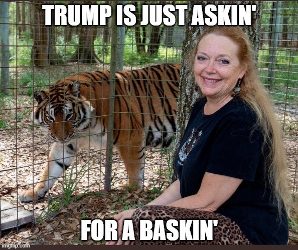 Carole Baskin | TRUMP IS JUST ASKIN'; FOR A BASKIN' | image tagged in carole baskin | made w/ Imgflip meme maker