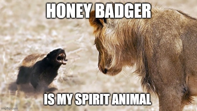 My Spirit Animal | HONEY BADGER; IS MY SPIRIT ANIMAL | image tagged in honey badger,lion | made w/ Imgflip meme maker