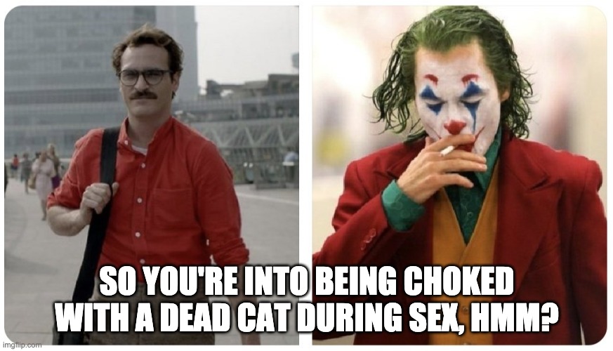 Joaquin Phoenix, Her vs Joker | SO YOU'RE INTO BEING CHOKED WITH A DEAD CAT DURING SEX, HMM? | image tagged in joaquin phoenix her vs joker | made w/ Imgflip meme maker