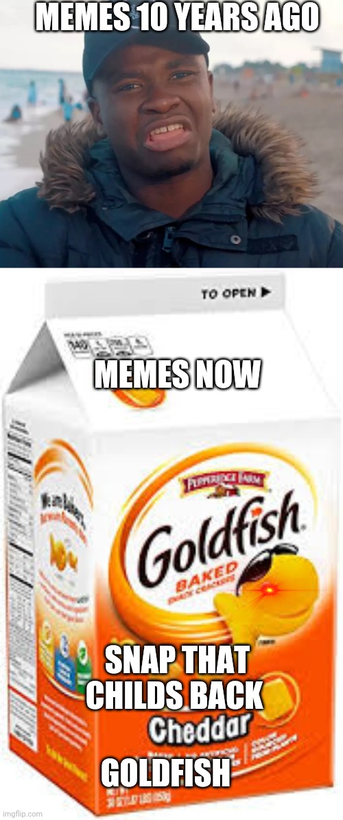 MEMES 10 YEARS AGO; MEMES NOW; SNAP THAT CHILDS BACK; GOLDFISH | image tagged in big shaq,goldfish crackers | made w/ Imgflip meme maker
