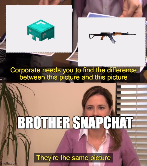 there the same picture | BROTHER SNAPCHAT | image tagged in there the same picture | made w/ Imgflip meme maker