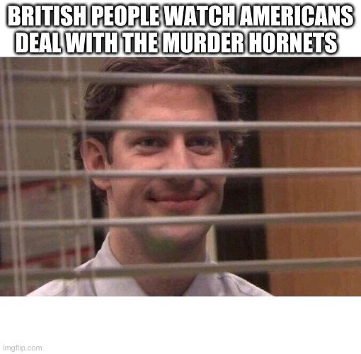 Americans dealing with murder hornets. | BRITISH PEOPLE WATCH AMERICANS DEAL WITH THE MURDER HORNETS | image tagged in jim office blinds | made w/ Imgflip meme maker