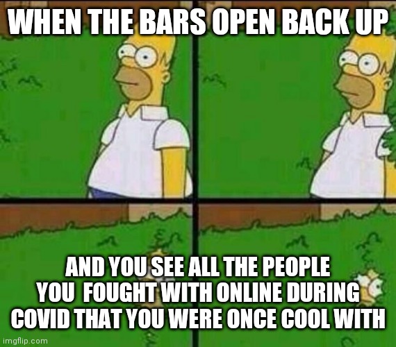Homer Simpson Post COVID | WHEN THE BARS OPEN BACK UP; AND YOU SEE ALL THE PEOPLE YOU  FOUGHT WITH ONLINE DURING COVID THAT YOU WERE ONCE COOL WITH | image tagged in homer simpson in bush - large | made w/ Imgflip meme maker