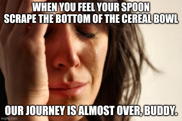 The most depressing part of my morning | WHEN YOU FEEL YOUR SPOON SCRAPE THE BOTTOM OF THE CEREAL BOWL; OUR JOURNEY IS ALMOST OVER, BUDDY. | image tagged in memes,first world problems | made w/ Imgflip meme maker
