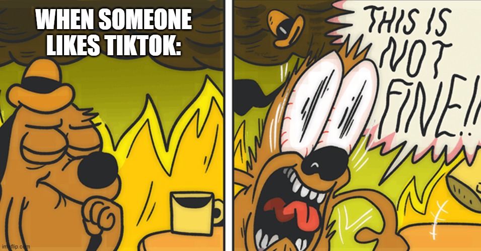 THIS IS NOT FINE! | WHEN SOMEONE LIKES TIKTOK: | image tagged in this is not fine | made w/ Imgflip meme maker