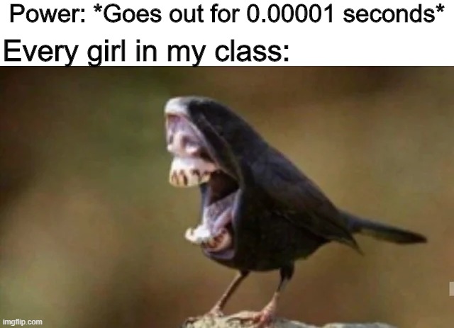 *Screaming intensifies* | Power: *Goes out for 0.00001 seconds*; Every girl in my class: | image tagged in memes,funny,birds,blackout,scream | made w/ Imgflip meme maker