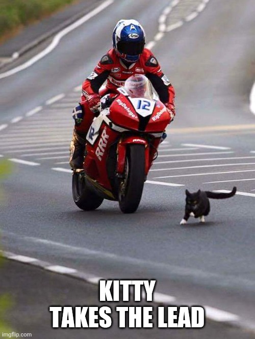 THAT GUY BETTER HOPE HIS BRAKES WORK | KITTY TAKES THE LEAD | image tagged in cats,motorcycle | made w/ Imgflip meme maker