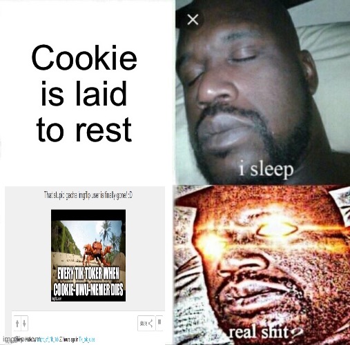 go go go to the tik_tok_rules stream | Cookie is laid to rest | image tagged in memes,sleeping shaq | made w/ Imgflip meme maker