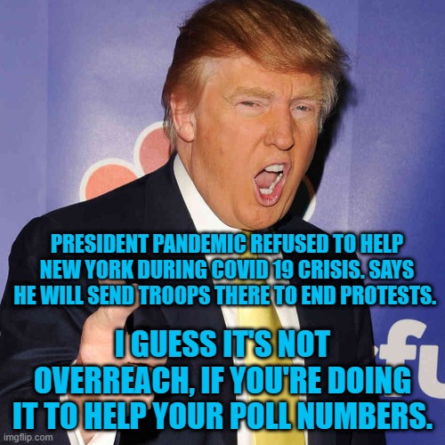 President Pandemic, On the Prowl for Protesters | PRESIDENT PANDEMIC REFUSED TO HELP NEW YORK DURING COVID 19 CRISIS. SAYS HE WILL SEND TROOPS THERE TO END PROTESTS. I GUESS IT'S NOT OVERREACH, IF YOU'RE DOING IT TO HELP YOUR POLL NUMBERS. | image tagged in politics | made w/ Imgflip meme maker