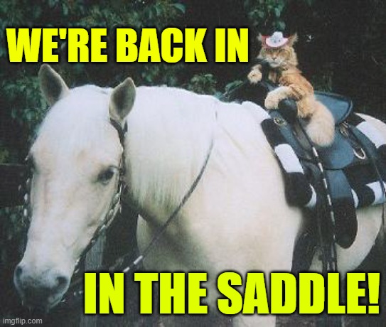 WE'RE BACK IN; IN THE SADDLE! | image tagged in back in the saddle | made w/ Imgflip meme maker