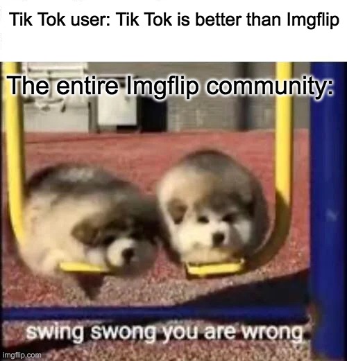 Tik tok sucks |  Tik Tok user: Tik Tok is better than Imgflip; The entire Imgflip community: | image tagged in swing swong you are wrong,imgflip,tik tok,memes | made w/ Imgflip meme maker