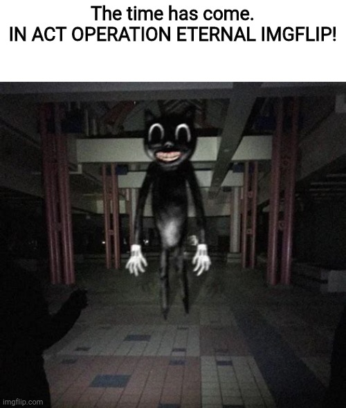 Eternal ImgFlip is a go | The time has come.
IN ACT OPERATION ETERNAL IMGFLIP! | image tagged in cartoon cat | made w/ Imgflip meme maker