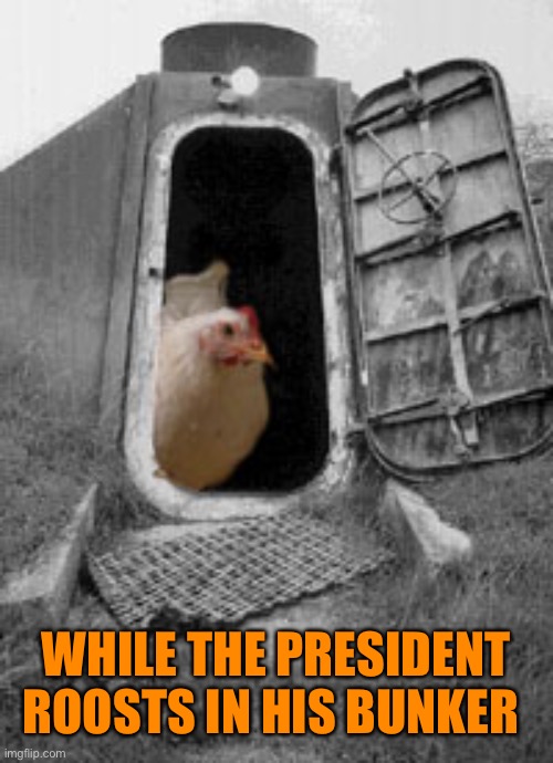 WHILE THE PRESIDENT ROOSTS IN HIS BUNKER | made w/ Imgflip meme maker