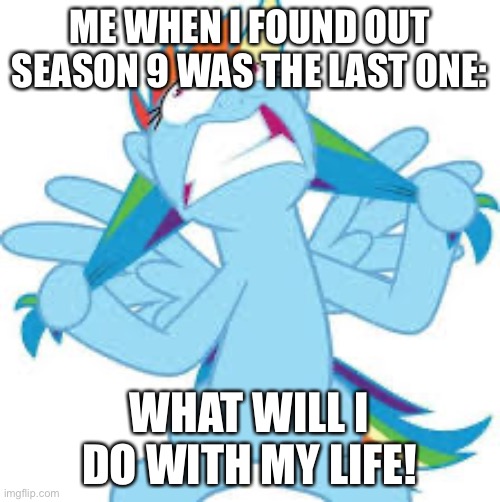 What will I do | ME WHEN I FOUND OUT SEASON 9 WAS THE LAST ONE:; WHAT WILL I DO WITH MY LIFE! | image tagged in mlp,funny | made w/ Imgflip meme maker
