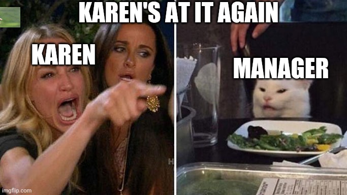 Angry lady cat | KAREN'S AT IT AGAIN; KAREN; MANAGER | image tagged in angry lady cat | made w/ Imgflip meme maker