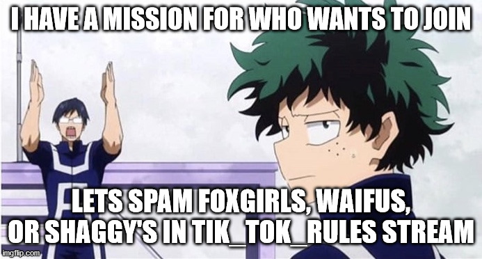 Operation Deku nut is a GO! | I HAVE A MISSION FOR WHO WANTS TO JOIN; LETS SPAM FOXGIRLS, WAIFUS, OR SHAGGY'S IN TIK_TOK_RULES STREAM | image tagged in deku ignoring iida | made w/ Imgflip meme maker