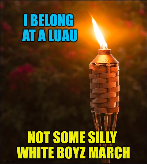 Give tiki torches their good name back! | I BELONG 
AT A LUAU NOT SOME SILLY 
WHITE BOYZ MARCH | made w/ Imgflip meme maker