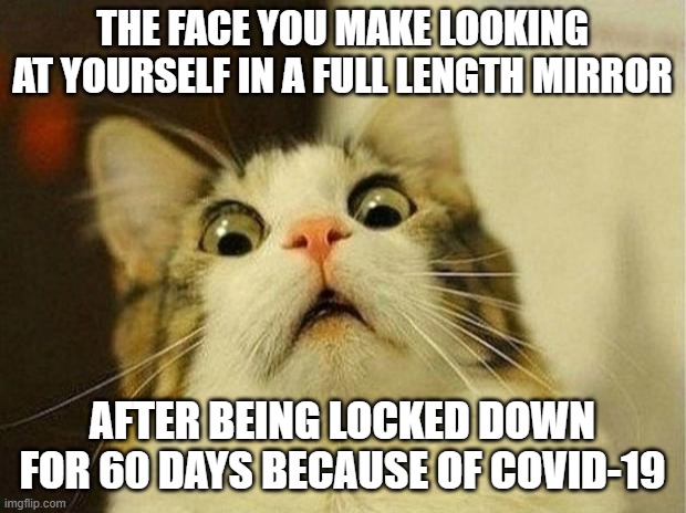 My Hair!  I'm Fat! | THE FACE YOU MAKE LOOKING AT YOURSELF IN A FULL LENGTH MIRROR; AFTER BEING LOCKED DOWN FOR 60 DAYS BECAUSE OF COVID-19 | image tagged in memes,scared cat,fat,hairy,bad hair day,coronavirus | made w/ Imgflip meme maker