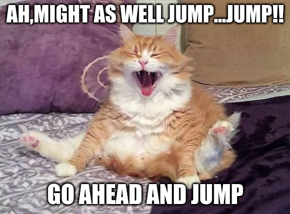 David Lee Roth Cat | AH,MIGHT AS WELL JUMP...JUMP!! GO AHEAD AND JUMP | image tagged in cats,van halen,david lee roth,jump,1984,funny cats | made w/ Imgflip meme maker