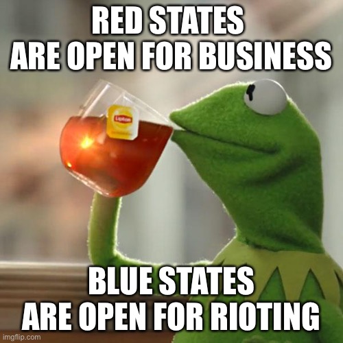 But That's None Of My Business Meme | RED STATES 
ARE OPEN FOR BUSINESS; BLUE STATES ARE OPEN FOR RIOTING | image tagged in covidiots,riots | made w/ Imgflip meme maker