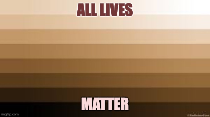 All Lives Matter | ALL LIVES; MATTER | image tagged in light tan,dark brown,all lives matter | made w/ Imgflip meme maker