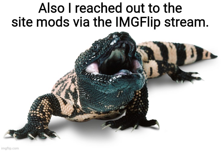 Please help, a eye for a eye | Also I reached out to the site mods via the IMGFlip stream. | image tagged in gila monster | made w/ Imgflip meme maker