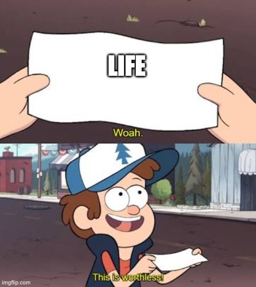 Wow This Is Useless | LIFE | image tagged in wow this is useless | made w/ Imgflip meme maker