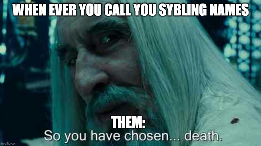 Sibling fight | WHEN EVER YOU CALL YOU SYBLING NAMES; THEM: | image tagged in so you have chosen death | made w/ Imgflip meme maker