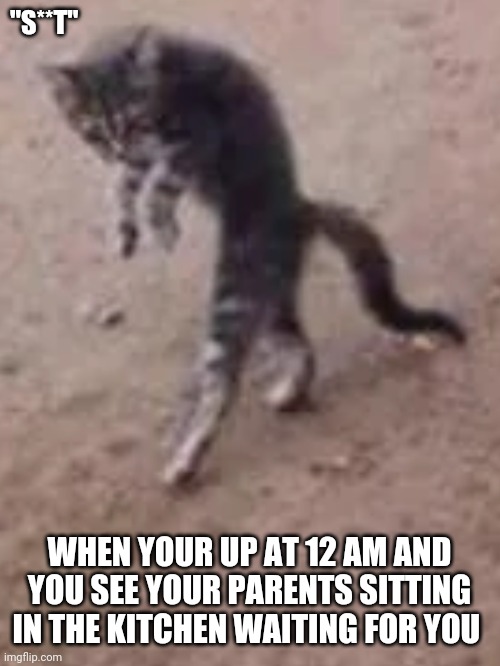 Sneaky Kitty | "S**T"; WHEN YOUR UP AT 12 AM AND YOU SEE YOUR PARENTS SITTING IN THE KITCHEN WAITING FOR YOU | image tagged in sneaky kitty | made w/ Imgflip meme maker
