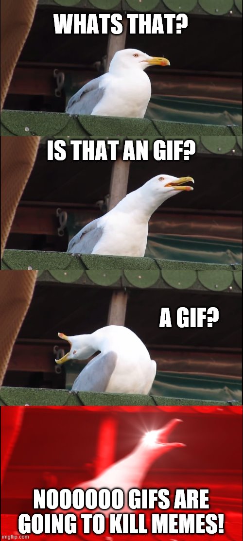 Inhaling Seagull | WHATS THAT? IS THAT AN GIF? A GIF? NOOOOOO GIFS ARE GOING TO KILL MEMES! | image tagged in memes,inhaling seagull | made w/ Imgflip meme maker