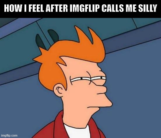 I feel stupid | HOW I FEEL AFTER IMGFLIP CALLS ME SILLY | image tagged in memes,futurama fry | made w/ Imgflip meme maker