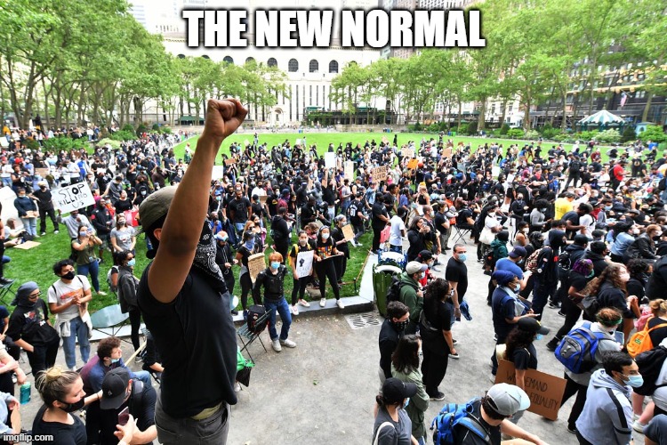 THE NEW NORMAL | made w/ Imgflip meme maker