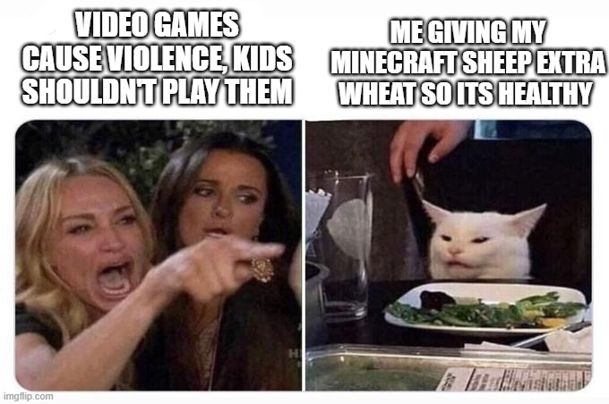 Woman shouting at cat | VIDEO GAMES CAUSE VIOLENCE, KIDS SHOULDN'T PLAY THEM; ME GIVING MY MINECRAFT SHEEP EXTRA WHEAT SO ITS HEALTHY | image tagged in woman shouting at cat | made w/ Imgflip meme maker