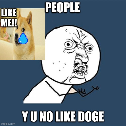 y u no like doge | PEOPLE; LIKE ME!! Y U NO LIKE DOGE | image tagged in memes,y u no | made w/ Imgflip meme maker
