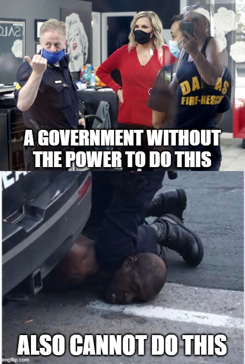 Pro tip: Liberty is what will heal our political division. | A GOVERNMENT WITHOUT THE POWER TO DO THIS; ALSO CANNOT DO THIS | image tagged in ofc derek chauvin,texas hairdresser arrest | made w/ Imgflip meme maker