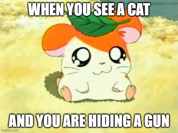 guN | WHEN YOU SEE A CAT; AND YOU ARE HIDING A GUN | image tagged in memes,hamtaro | made w/ Imgflip meme maker