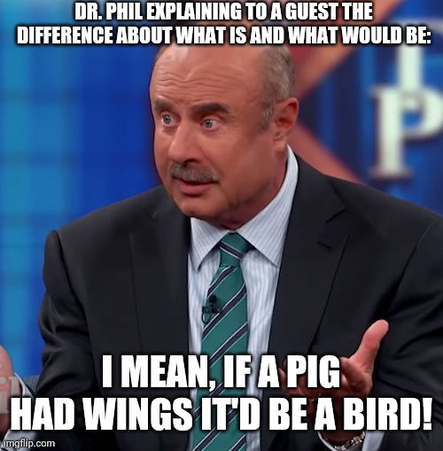 Dr. Phil # 4 | DR. PHIL EXPLAINING TO A GUEST THE DIFFERENCE ABOUT WHAT IS AND WHAT WOULD BE:; I MEAN, IF A PIG HAD WINGS IT'D BE A BIRD! | image tagged in advice | made w/ Imgflip meme maker