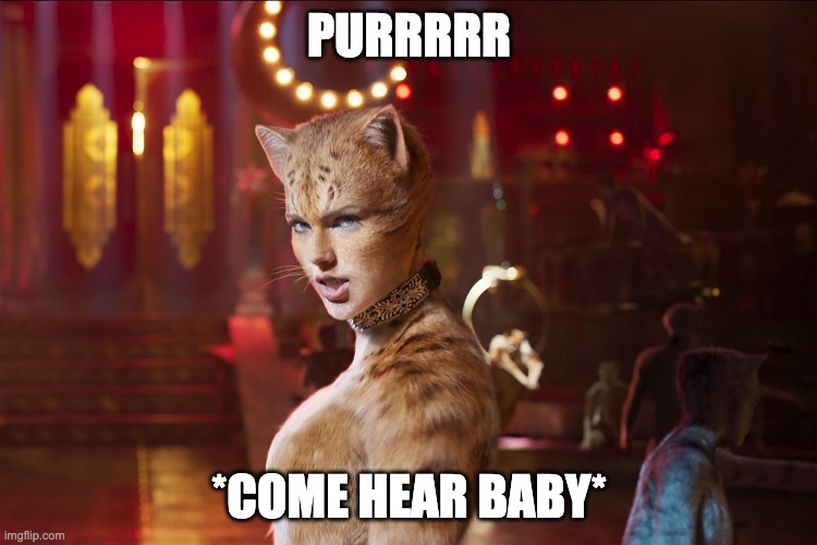 When the cat wants you | PURRRRR; *COME HEAR BABY* | image tagged in cats | made w/ Imgflip meme maker