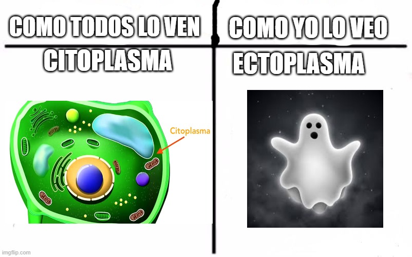 Citoplasma Ectoplasma | ECTOPLASMA; CITOPLASMA | image tagged in ctvcyv | made w/ Imgflip meme maker