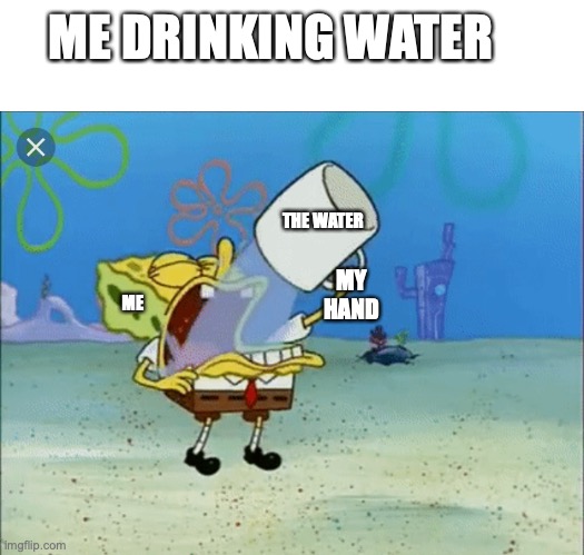 Spongebob drinking water | ME DRINKING WATER; THE WATER; MY HAND; ME | image tagged in spongebob drinking water | made w/ Imgflip meme maker