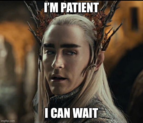Thranduil | I’M PATIENT I CAN WAIT | image tagged in thranduil | made w/ Imgflip meme maker